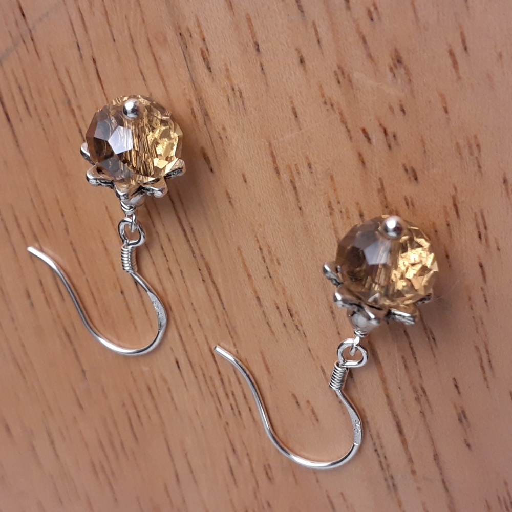 NWOT Beautiful Beaded Pierced Earrings JJ114